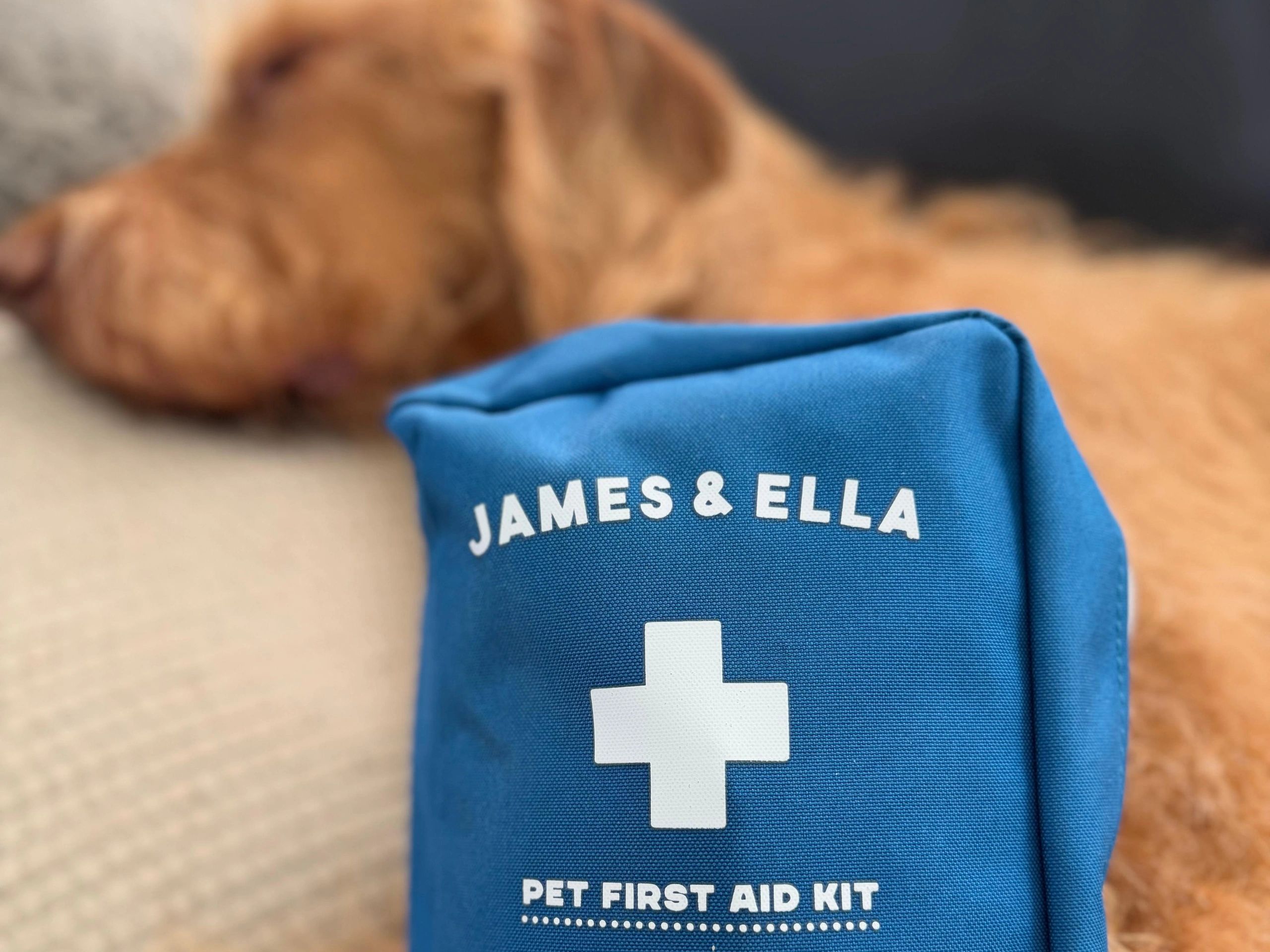 Blue pet first aid kit with a sleeping dog in the background.