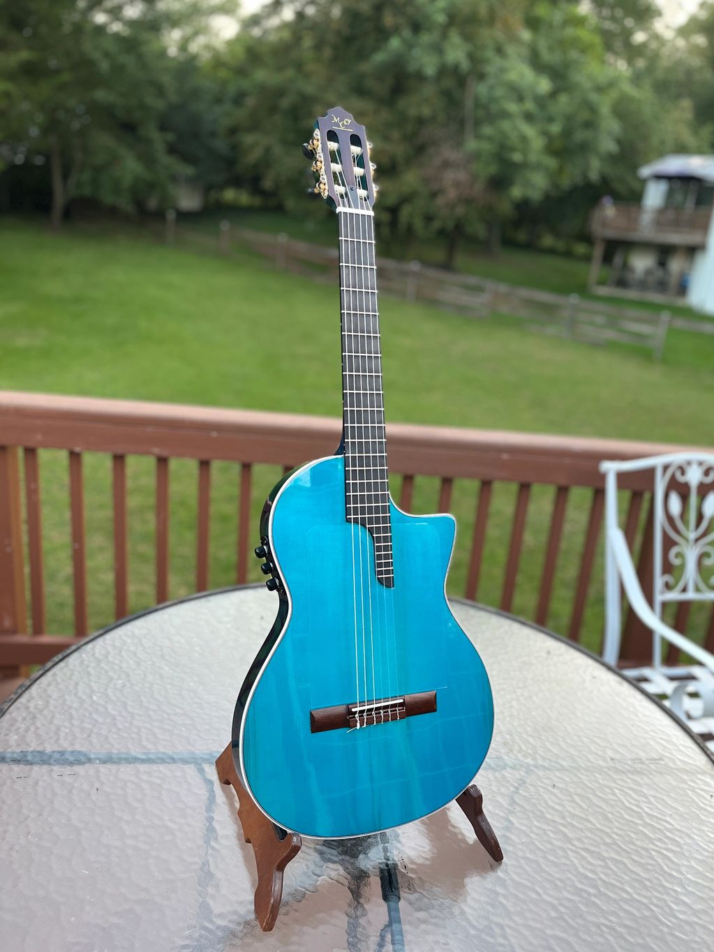 Model "King"
Spruce top
Ebony fretboard
Individual string adjustment
Custom GoAcoustic Audio electro