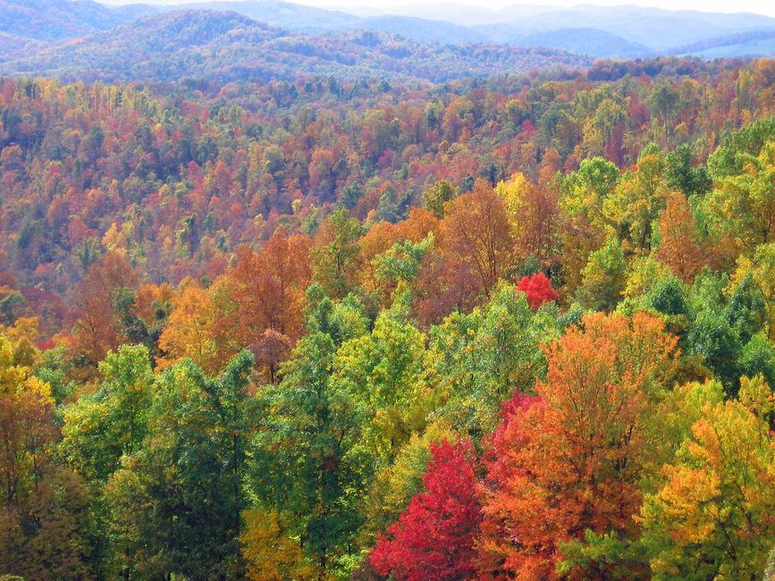 rowlesburg.info Tourism, Things to Do, Festivals, Sightseeing