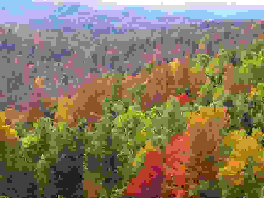 rowlesburg.info Tourism, Things to Do, Festivals, Sightseeing