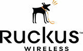 Ruckus Wireless Network Installer