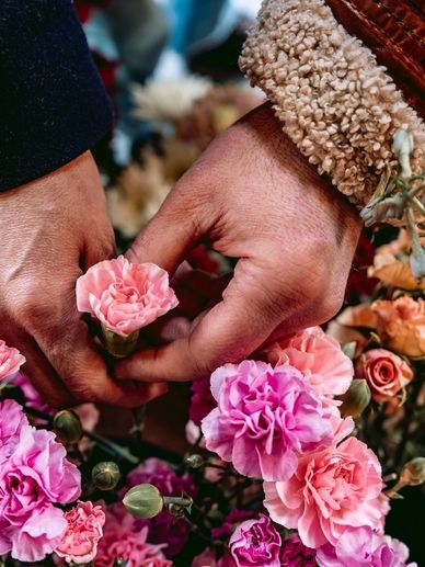 Hands arranging pink and purple carnations with care.