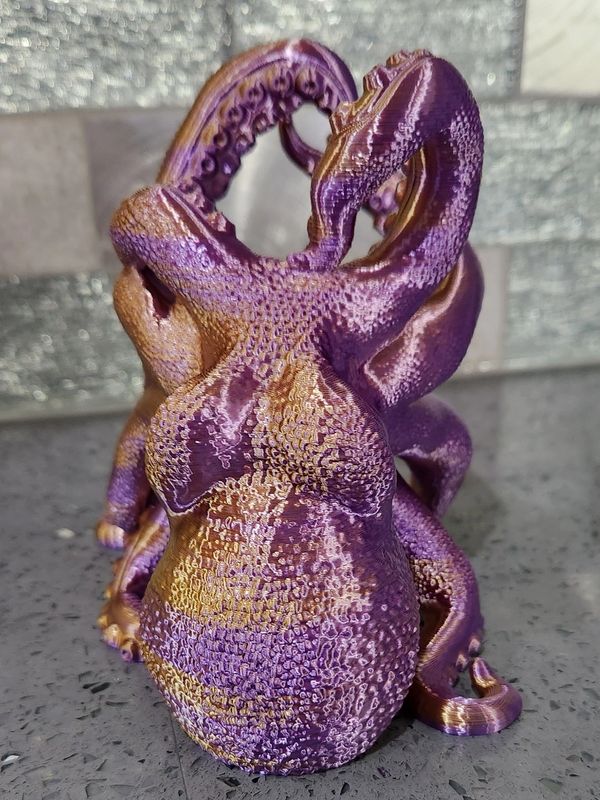 Octopus Wine and Liquor Bottle Display