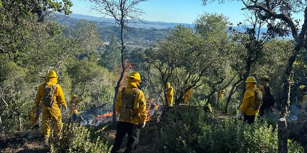 Our team working alongside local fire department to conduct controlled pile burning.