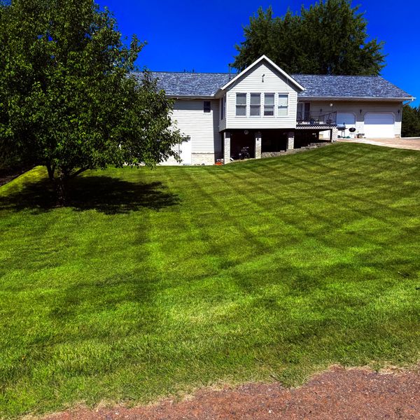 Stripes in the yard