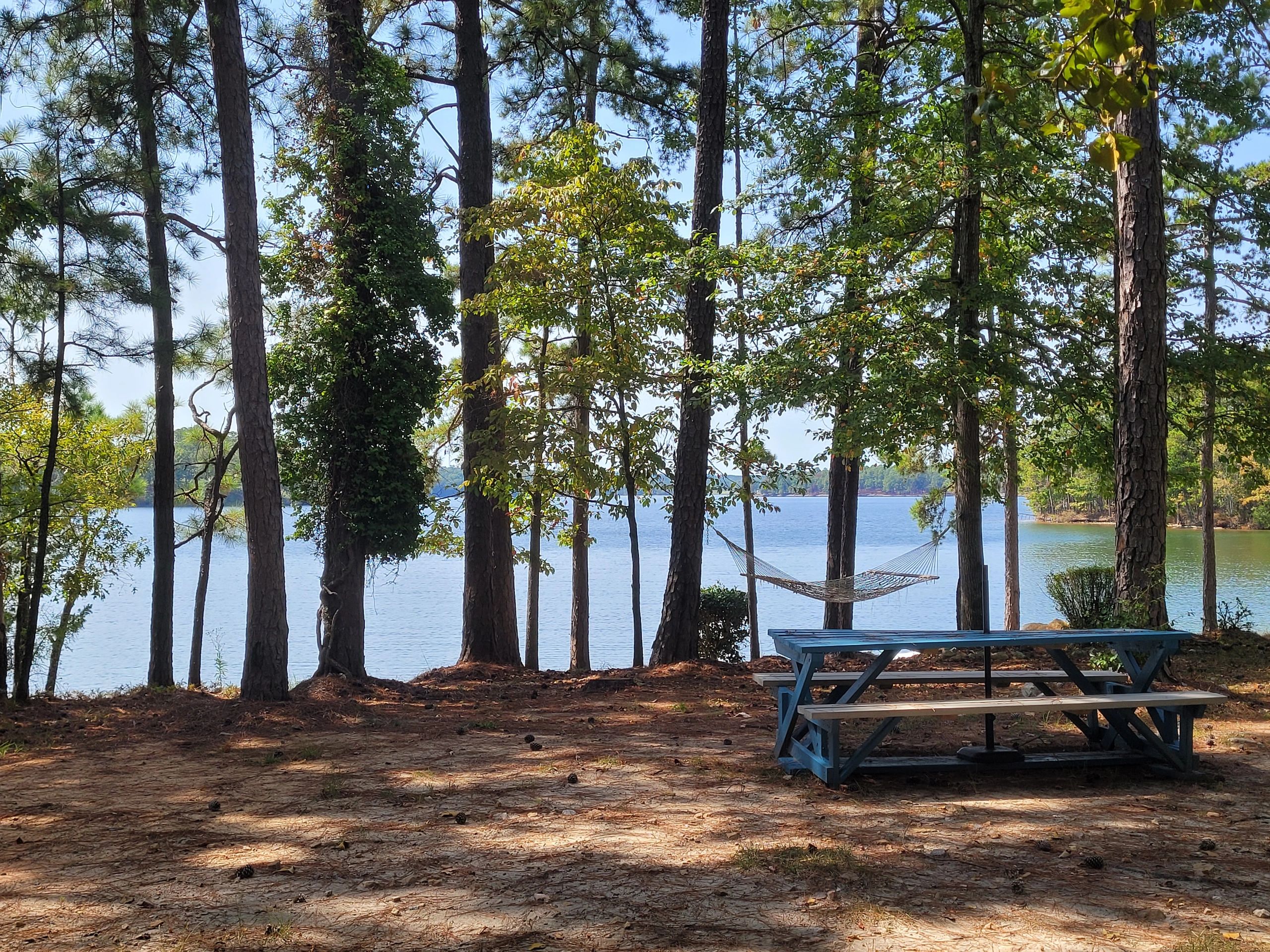 Lake Martin Sales And Rentals - Realtor®️, Property Management