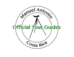 manuelantoniofficialtourguides.com