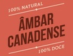 Âmbar Canadense