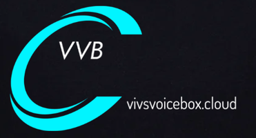 Vivs Voice Box 