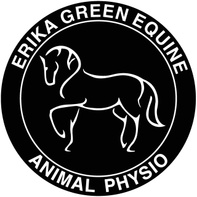 Erika Green Equine Physiotherapy