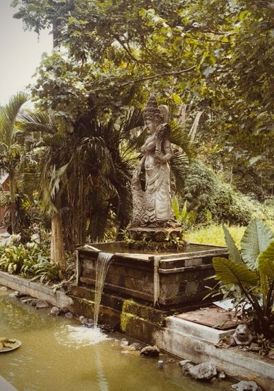 A serene garden statue with water flowing into a pond surrounded by lush greenery in the monkey forrest in ubud bali.