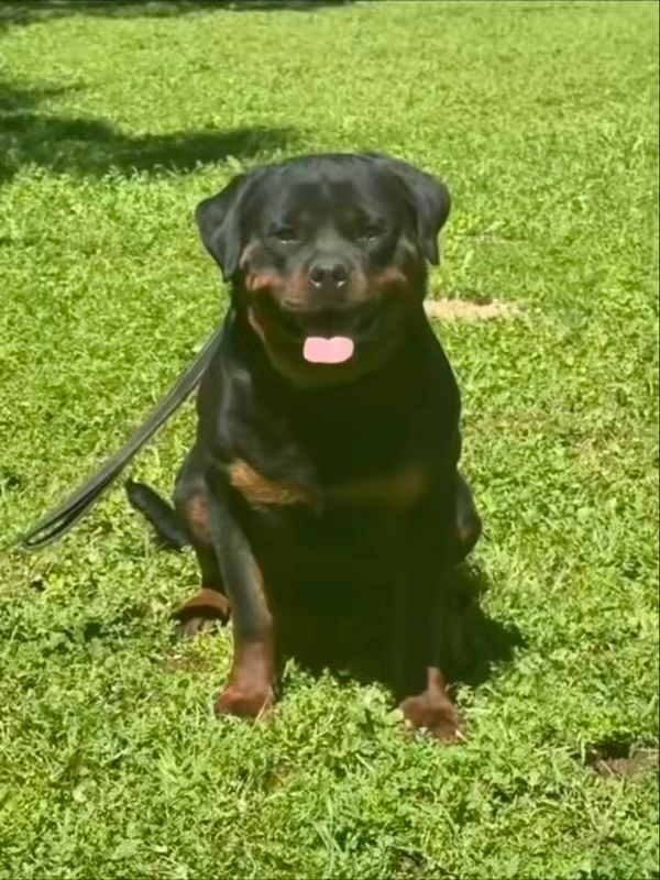 Xena vom cherniy kumir