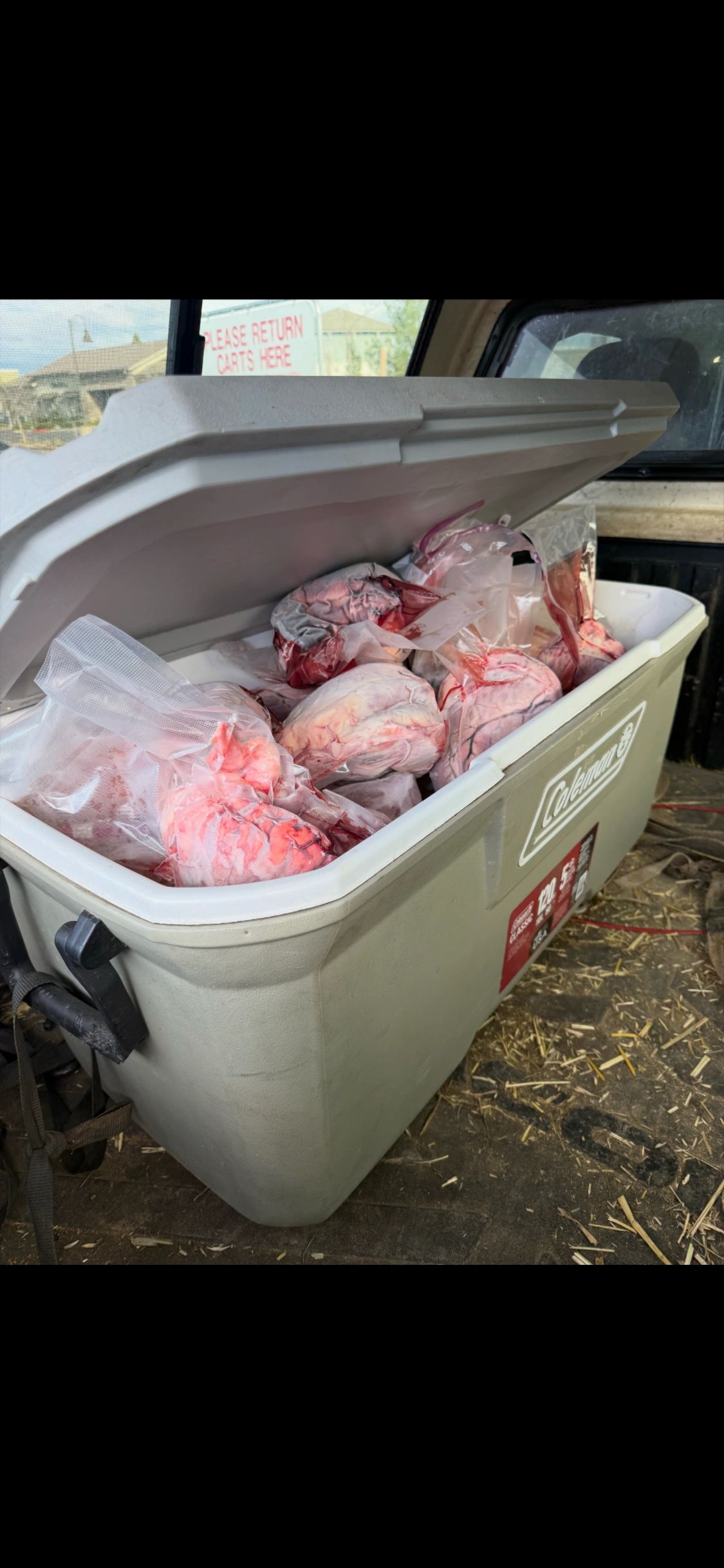 FRESH BEEF ORGANS 