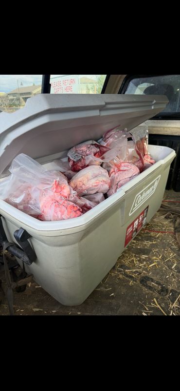 FRESH BEEF ORGANS 