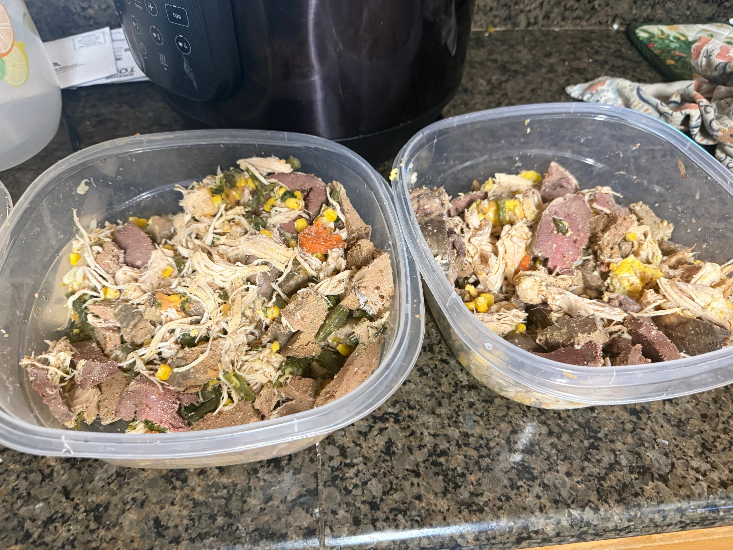 Two containers filled with homemade chicken and vegetable soup.