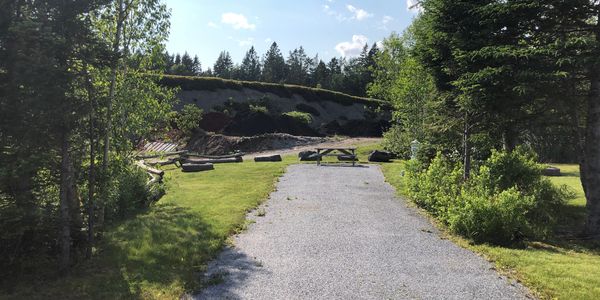 Gravel path leading to a picnic table surrounded by greenery and trees.