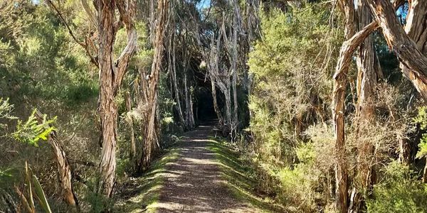 Walk in nature 
