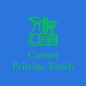 Carson Pristine Touch