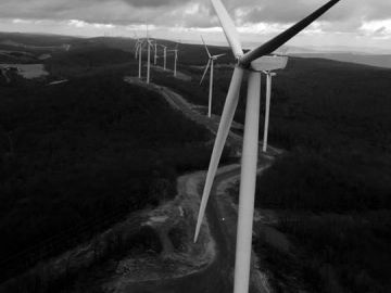 Wind turbines lined up over a forested hill.