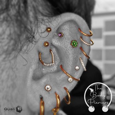 Black and white photo Ear curation piercings 16 piercings anodised gold in colour