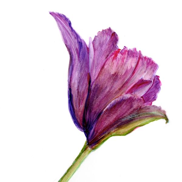 One Petal At A Time