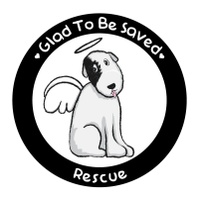 Gtbsrescue