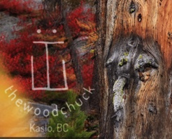 The Woodchuck
