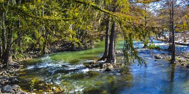 A clear river flowing through a forest with tall trees.