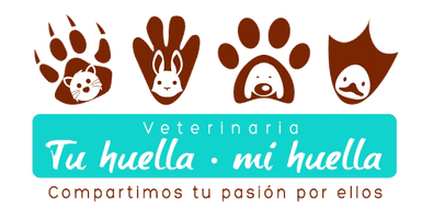 Veterinaria Tu Huella Mi Huella