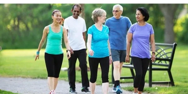 A diverse group of seniors walking and chatting in a park on a sunny day.