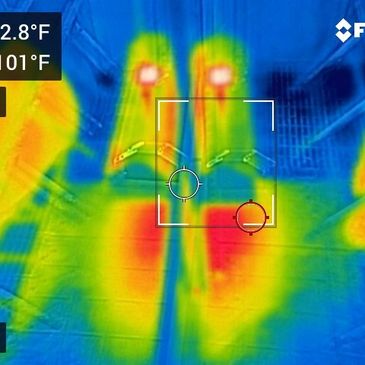 Infrared Radiant Heat by Animal Lamps