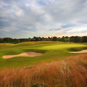 Stonebridge golf course