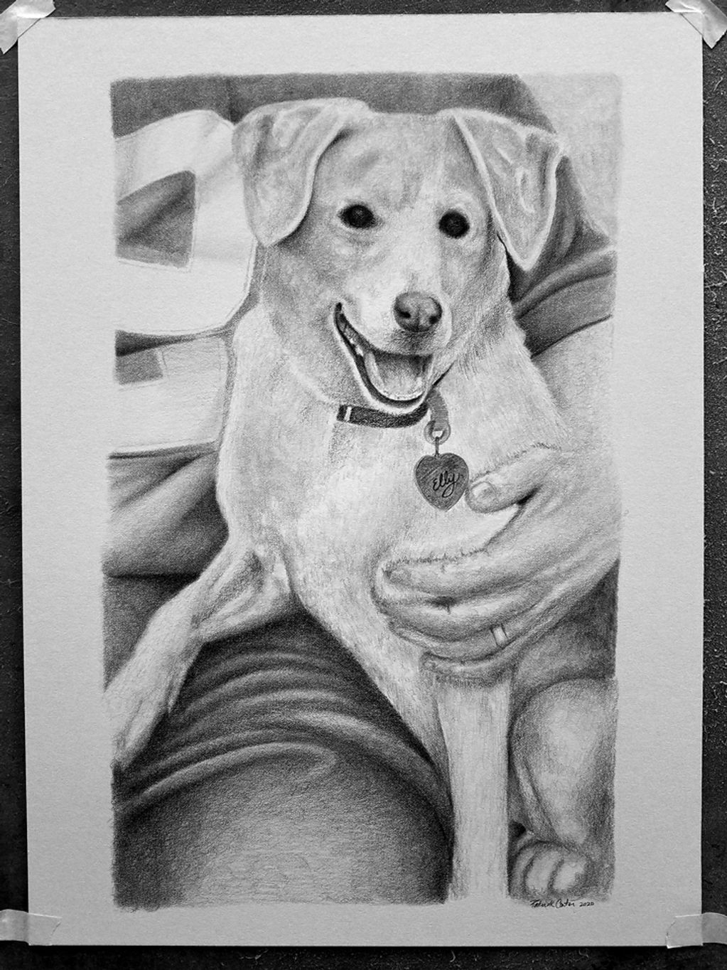 pencil drawing of dog sitting in lap of owner