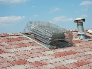 Stainless steel attic fan guard. Stainless steel attic fan guard.