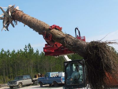 The EZ Spot UR EZ-0010 3 Finger Rock and Tree Hand rotating attachment moving a tree.