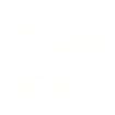 ICWT HOLDINGS, LLC