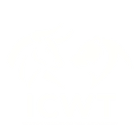 ICWT HOLDINGS, LLC