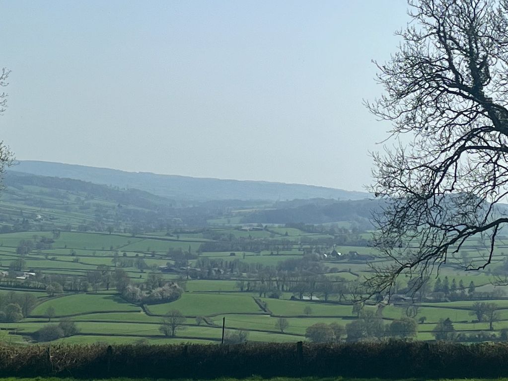 Rolling green fields and distant hills under a clear sky.