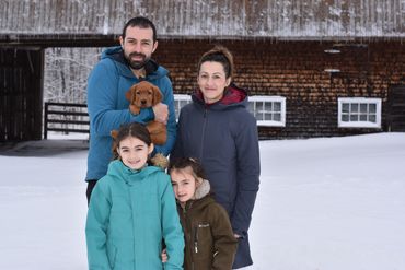 Chiot labrador retriever Red fox