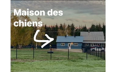 Maison des chiens