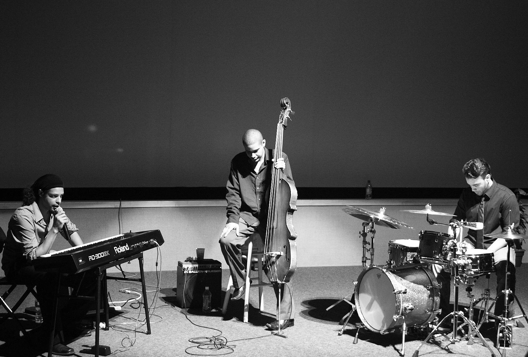 Sylvia Rexach Project