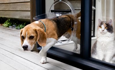 A dog exits through a pet door while a cat watches from inside.
