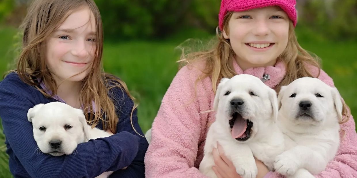 Two girls with their Labrador puppies