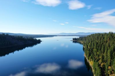 Calm river flanked by dense forests under a blue sky.