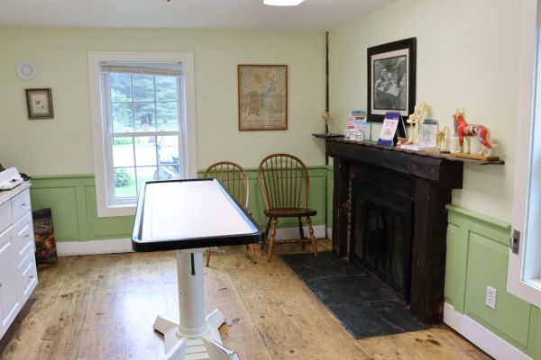 A cozy veterinary exam room with a table and anatomical horse model.