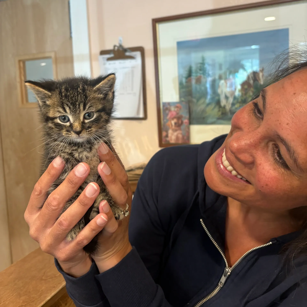 Woman smiling while holding a small tabby kitten indoors.