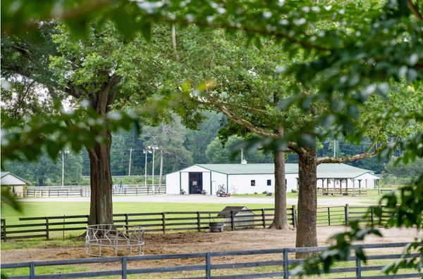 View of our barn through the trees