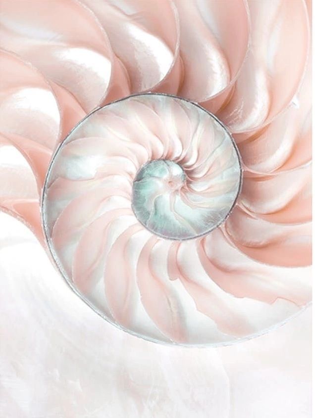 Reiki and Sound Healing