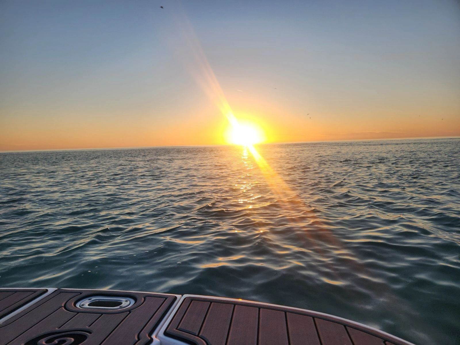 Anna Maria Island Tours