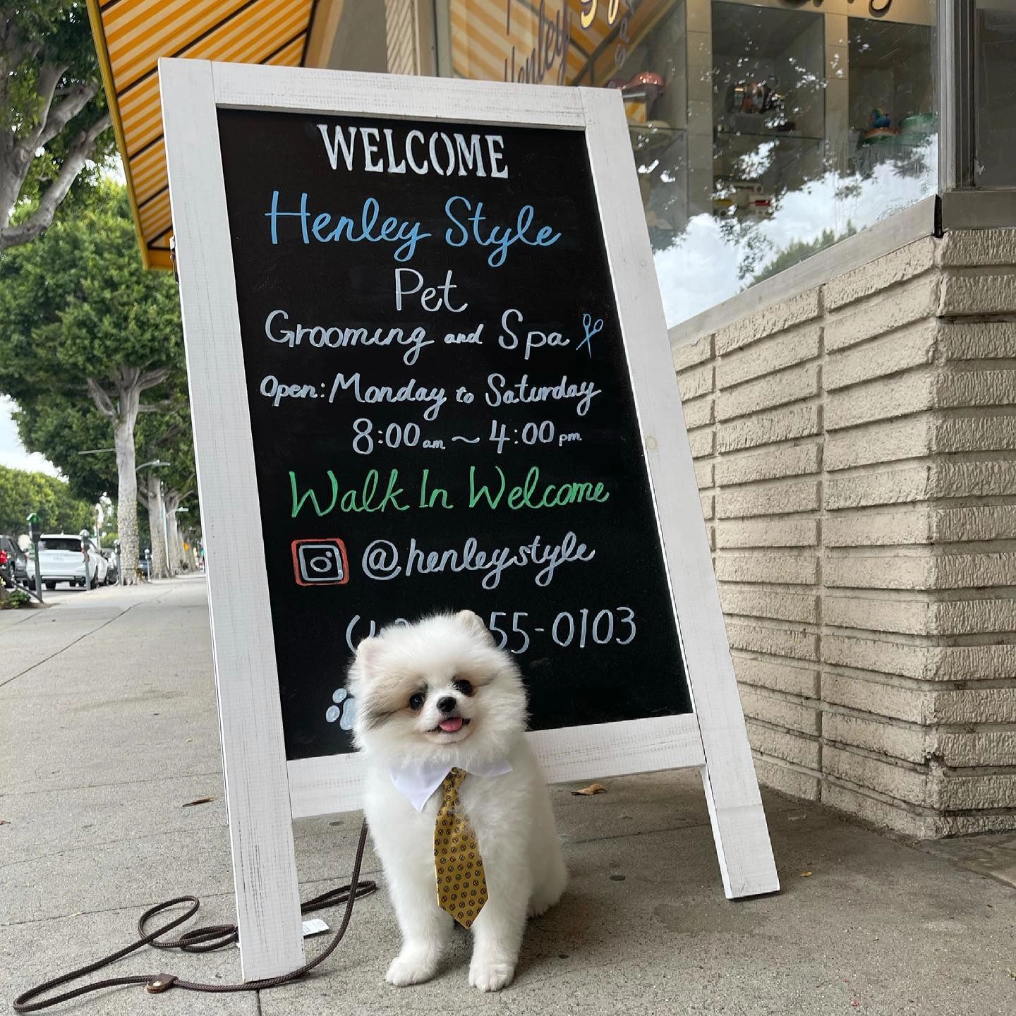 Henley Style Grooming in Beverly Hills, California